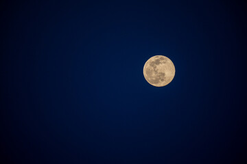 Fototapeta premium Full Moon on Deep Blue Sky