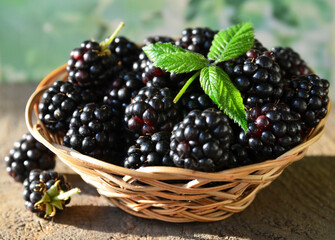 Freshly picked organic blackberries in the basket on a blurred background. Blackberry.Healthy eating,vegan food or diet concept.
