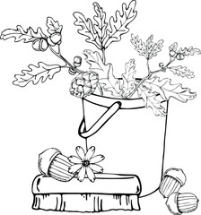 vector illustration bucket with oak branches,brush,acorns and a flower,drawing with a black liner,for a card or invitation