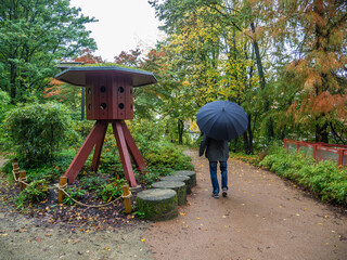 man with umbrella one autumn day in japanese garden on Versailles island in Nantes, France