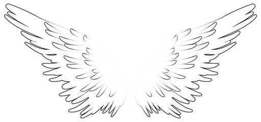 Beautiful magic white angel wings, vector