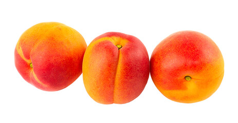 Fototapeta na wymiar Three whole apricots close-up isolated on a white background.