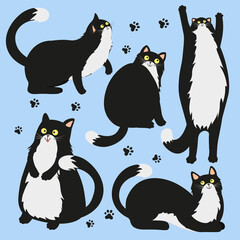 Set of vector illustrations of cute and funny cats. Stickers with funny cats 