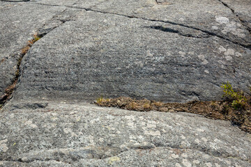 Glacial features in bedrock of Mt. Monadnock in New Hampshire.