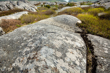 Fototapeta na wymiar Glacial features in bedrock of Mt. Monadnock in New Hampshire.