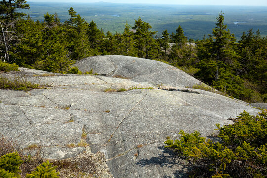 Glacial features in bedrock of Mt. Monadnock in New Hampshire.