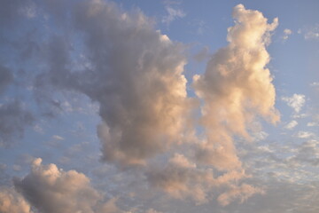 The Netherlands, August 2021