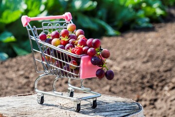 Autumn harvest