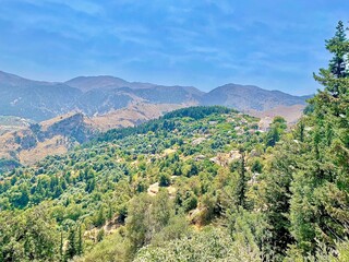 Naklejka premium landscape with mountains