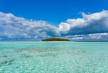 Foto op Plexiglas Mnemba island on north of Zanzibar, Tanzania © Posztós János