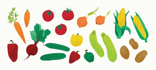 Set of different vegetables. Vector illustration isolated on white background.