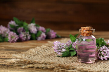 Fototapeta na wymiar Beautiful clover flowers and bottle of essential oil on wooden table, space for text