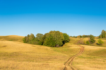 The sky, yellow grass and the road to the forest. Beautiful landscape.