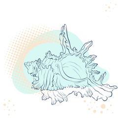 Spiral spiked seashell in line art style on spotted background. Vector color hand drawn illustration with place for text. Elements for design seafood shop or menu, decor, label, print, poster, t-shirt