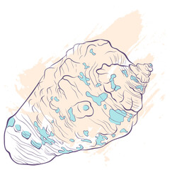 Spotted seashell in line art style on grunge background. Vector color hand drawn illustration. Elements for design seafood shop or menu, decor, label, print, poster, t-shirt.