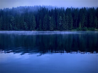 reflection of trees in the lake