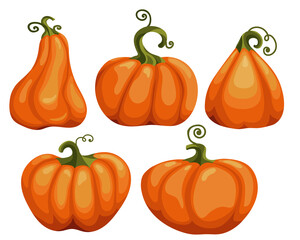 Pumpkins clipart Set of autumn ripe vegetables harvesting Bright symbol of the holiday Halloween Cartoon vector graphics