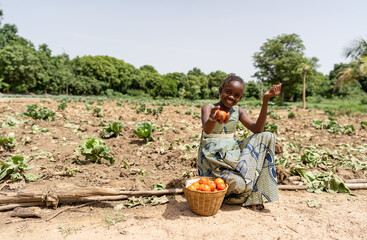 Small black African girl sitting on the edge of a cabbage field, offering fresh red tomatoes