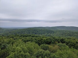 clouds over the forest