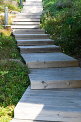 Wooden walkway