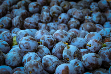 Plums. Plum by plum and lots of plums. Fruit. Plum fruits.
