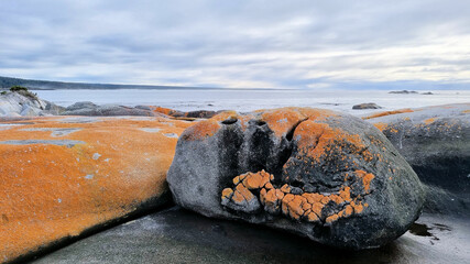 Orange Rocks of the Bay of Fires Tasmania Australia Near the shore line