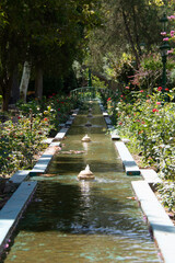footpath in the park