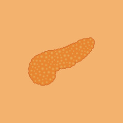 vector healthy human pancreas close up front view, pancreas yellow and orange on peach orange background. anatomy biology medicine medical concept. pancreas illustration vector isolated.