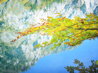 Twigs with autumn leaves of yellow shades against the background of the lake reflection of the mountains