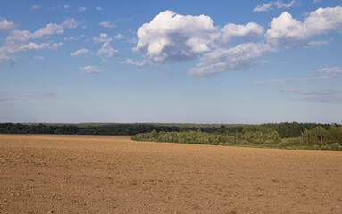Fototapeta na wymiar A plowed field after harvesting against the background of a bright blue sky with floating fluffy clouds and forest. Summer time