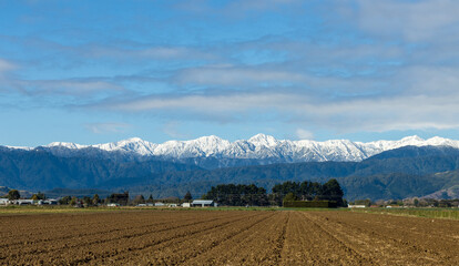 Winter New Zealand Farming