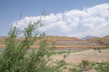 Fototapeta premium desert landscape in state