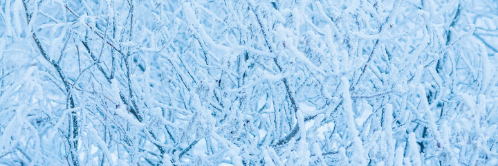 Snow and rime ice on the branches of bushes. Beautiful winter background with trees covered with...