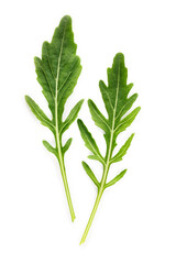 Arugula leaves isolated on white background. Closeup fresh wild rocket leaves on white background top view.