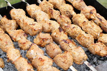 Pork barbecue on skewers frying on a grill brazier. Closeup