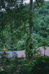 Fototapeta premium Beautiful temples in Thailand that people respect.