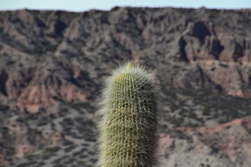 Jujuy, lugar donde el color del cielo resalta las monta&ntilde;as
