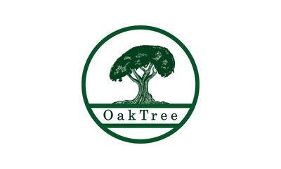 Premium vector Oak Tree logo design template