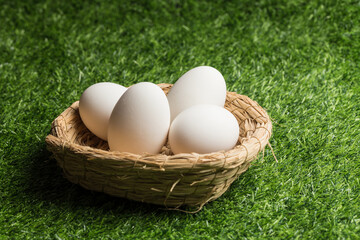 A nutritious and delicious goose egg