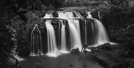 Wallicher waterfall , Atherton, Tablelands, Carins, Wooroonooran National Park