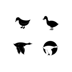 Duck logo vector icon template
