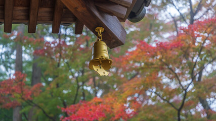 紅葉　テキストスペース　秋