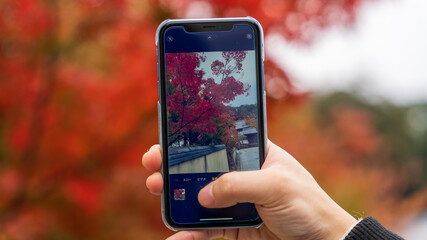 紅葉　テキストスペース　秋