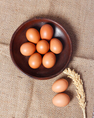 Eggs isolated on a bright background. Front photo. Egg wallpapers. Design, visual arts, minimalism. Egg templates. Organic chicken egg concept. Healthy organic food and diet concept. Focus blur.