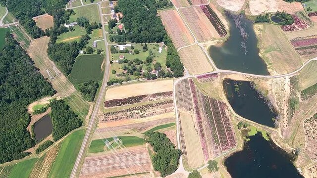 Aerial shot of patchwork farm and cell tower in Osceola, North Carolina, USA