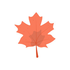 illustration of an orange or red maple leaf. autumn leaves. autumn icon or symbol. foliage. flat cartoon style. vector element design