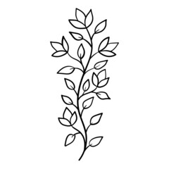 Flowers-50
