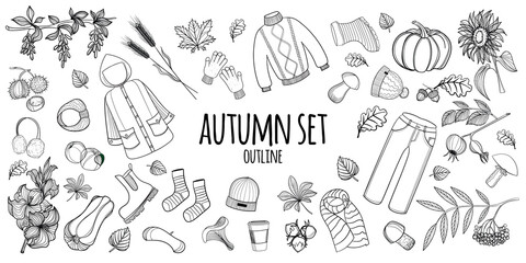 Set of vector hand drawn autumn elements.