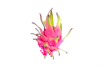 dragon fruit