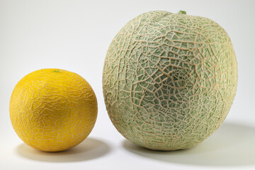 Two variety of net melon (Cucumis melo) harvested in home garden in Japan